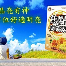 舒博萊特戶外魚池加熱器大型魚缸加熱棒2000W3000W庭院池塘加溫器 歷史價格詳細信息