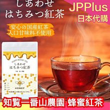日本広島紅楓葉鑰匙圈~廣島宮島限定 旅遊紀念品~橘紅色葉子((楓葉造型 招福開運))側背包後背包吊飾掛飾鎖匙圈 歷史價格詳細信息