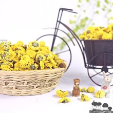 -白菊花/杭白菊/甘菊- 台灣苗栗銅鑼產，清甜菊花香，可跟枸杞一起泡，很棒有幫助，檢驗合格，可安心飲用，電腦3C族必備。 歷史價格詳細信息