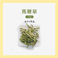【聯通漢芳 台灣現貨】桂花烏龍茶 20入 桂花 烏龍茶 無糖 飲料 茶包 茶葉 漢方茶 草本植物 歷史價格詳細信息