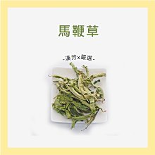 台灣現貨[檸檬樹戶外] 純矽膠成人護耳游泳帽 通用矽膠泳帽 歷史價格詳細信息