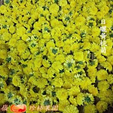 乾燥花-珍愛花束-1袋 歷史價格詳細信息