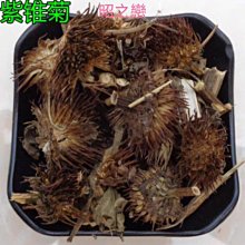 菊元百貨－漫步臺北島都 歷史價格詳細信息