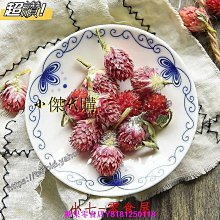 新鮮日期~花草茶 紅棗片 無核紅棗干脆切片泡水 配枸杞泡茶零食3罐裝新品A213922 歷史價格詳細信息
