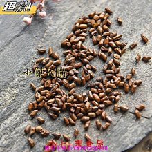新鮮日期~正宗東北大醬 農家大醬 黃豆醬自製大豆醬豆瓣醬沾菜醬湯沾蔥蘸醬新品A211756 歷史價格詳細信息