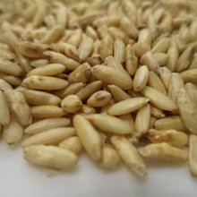 低溫焙烤酥豆200g【MUJI 無印良品】 歷史價格詳細信息