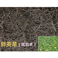 (超商限8包)牛皮紙板/8K/240P(約0.31mm)/1包20張-書本封面、塗鴉書寫、樣品用紙、美勞材料剪貼時使用 歷史價格詳細信息