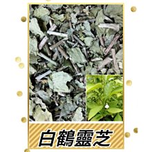 【靈芝草人】真心靈芝紅棗麵線禮盒 300gx2包/盒(生日 禮盒 祝壽禮品) 歷史價格詳細信息