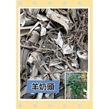 天然裁切不整齊 所羅門10元2012年全新UNC外國紙鈔錢幣收藏保真#紙幣#錢幣#外幣 歷史價格詳細信息