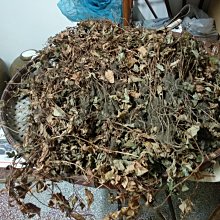 小魚在家智能影片通話遠程陪伴兒童小魚在家靈伴智能屏 歷史價格詳細信息