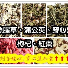 泡泡魚 穿戴震動按摩器 歷史價格詳細信息
