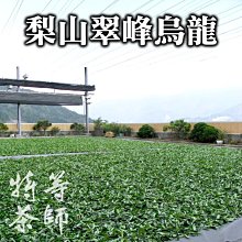 翠峰冬茶～翠峰茶葉～翠峰高冷茶～翠峰高山茶《萱茶記》 歷史價格詳細信息