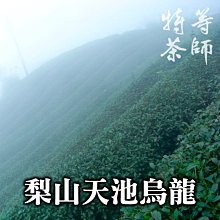 梨山 烏龍茶 翠峰二水 ,SGS 高山茶 台灣茶1200/斤《特等茶師》 歷史價格詳細信息