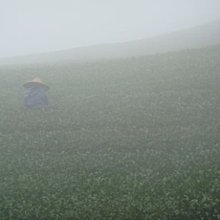 自營農業灌溉高標準農田鋼製三通式給水栓 110彎頭式給水栓 歷史價格詳細信息