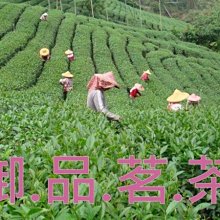 【御品茗茶】【阿里山金萱茶葉】112年春茶上市喽~天然的奶香. 底韻強 5斤1斤~含運!! 歷史價格詳細信息