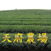 ?-免運特惠?農村柴火灶家用柴火爐燒木柴移動灶臺新式汽化爐戶外野營爐子地鍋野炊烤肉木柴爐 野外露營炊具 歷史價格詳細信息