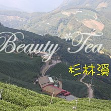 《冬茶～體驗組》梨山茶 雪霸茶 龍鳳峽茶 杉林溪茶～手採茶 高山茶葉【茶山曉】 歷史價格詳細信息