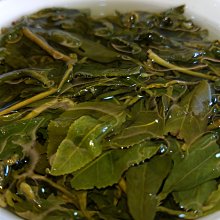 杉林溪羊仔灣手採烏龍茶~4兩280元，半斤免運，2斤再送4兩～當季好茶 歷史價格詳細信息