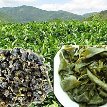 【泰旺製茶廠】特等大禹嶺烏龍茶。清香回甘喉嚨留甘原價900批發價350/高山茶葉/梨山茶/阿里山茶/冷泡茶/綠茶/杉林溪 歷史價格詳細信息