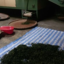 小半天茶葉－冷泡茶(杉林溪烏龍春茶)每斤150包左右每包4公克特價兩斤1200元免運費 歷史價格詳細信息