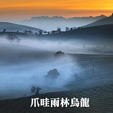 【雨林古茶】雨林古樹茶 2021泠泠 雲南古樹普洱茶高檔生茶餅 300g凌雲閣茶葉 可開發票 歷史價格詳細信息
