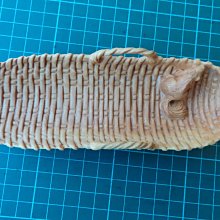 小葉黃楊木不動明王盤玩物件男士隨身把玩文玩手把件掛件木雕吊墜 歷史價格詳細信息