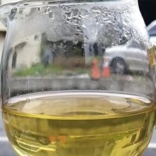 《澄心堂》花鳥圖(鏡片)-封芑昌-畫心: 89 x 42公分 歷史價格詳細信息