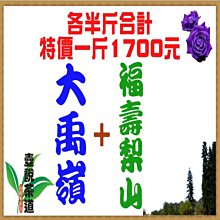 【梨山福慧果園】雪梨8大(5400克±5%/每粒16-18兩) 歷史價格詳細信息