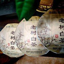 中茶蝴蝶牌九龍大白 特級白牡丹100g罐裝 散裝傳統白茶 正宗正品 歷史價格詳細信息