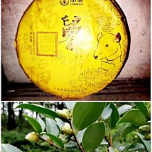 2020年中茶茗山高端系列布朗青餅純料普洱生茶357g*7片提經典霸氣 歷史價格詳細信息