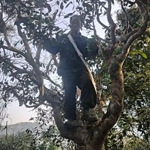 云南農科院滇二娃白蕓豆黑咖啡0精0燃減健身速溶咖啡正品授權 歷史價格詳細信息