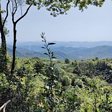 全館全套高清地面數字機頂盒子免費電視信號接收器數字波機電視頂盒 歷史價格詳細信息