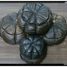 (大特價)每顆直徑約14mm,羊脂白玉圓珠手串(共15顆+葫蘆)~【大年和闐玉南京店】 歷史價格詳細信息