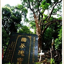 茶樹王2018年野生普洱(生茶)一餅200g 歷史價格詳細信息