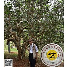 吻潤2012勐海茶磚(250公克普洱茶和平藝坊認真分享 歷史價格詳細信息