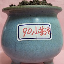 [洪聲普洱茶] 已完售 ! 臻品 逸品 分享價 ! 玩轉普洱 玩轉熟普 90年代 357g  中茶橙紅印 熟餅  熟普 可遇不可求 歷史價格詳細信息