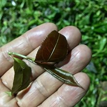 臺灣天珠手鏈男女情侶天珠手串送女友生日禮物復古文藝百搭抬色 歷史價格詳細信息