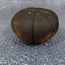 98年----海軍爆破大隊口述歷史---艦隊老蛙的故事----蛙人---蛙兵---軍艦相關 歷史價格詳細信息