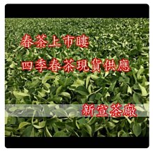 《冬茶～體驗組》梨山茶 雪霸茶 龍鳳峽茶 杉林溪茶～手採茶 高山茶葉【茶山曉】 歷史價格詳細信息