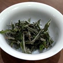 【白茶】2020年 六妙白茶 蟲眼白茶 老樹貢眉 50克茶葉  可開發票 歷史價格詳細信息