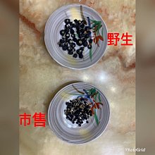 野生四葉草幸運草干花標本diy材料書簽壓花葉片生日男女友學生 歷史價格詳細信息