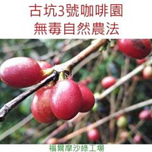 《自然農法》熟香烏龍茶包(3g*20入*3盒) 歷史價格詳細信息