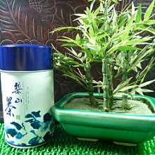 【碧綠溪】出清優惠一斤2000元※112年春手採茶『壺說茶道』 大禹嶺 杉林溪 阿里山 高山茶 烏龍茶 歷史價格詳細信息