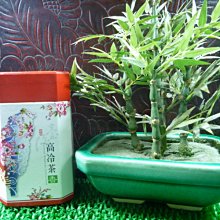 國峰茗茶–2024年春季碧綠溪茶葉(四兩一罐裝) 歷史價格詳細信息