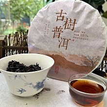深山ユーキ｜Lonely Myself Sega逆天傳說 2｜青文【全新未拆】 歷史價格詳細信息