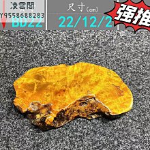 【一物一拍】編號-319黃金樟茶盤幹泡檯茶托茶壺墊整塊實木茶檯-5 歷史價格詳細信息