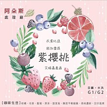 咖啡生豆 - 衣索比亞 耶加雪夫 野百合 厭氧日曬 G1《500g》 歷史價格詳細信息
