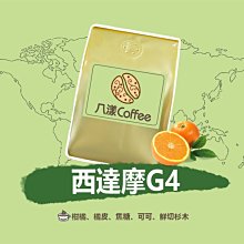 888元免運~Amida 葉綠素頭皮頭髮調理素 200ml 淨化頭皮SPA 護髮 另有麗蒄 高雄可店取 歷史價格詳細信息