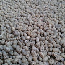 南美龐老爹咖啡 肯亞PB TOP 咖啡生豆 Kenya Nyeri 尼耶利 奶油堅果 葡萄果香、口感豐厚濃郁 1公斤生豆 歷史價格詳細信息