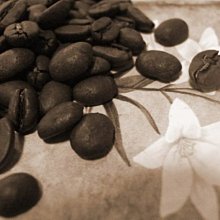 { 喜朵浪漫愛飲生活館 } 極品義大利咖啡 Nonpareil Espresso1磅 裝 咖啡因含量低～中稍深烘焙 歷史價格詳細信息